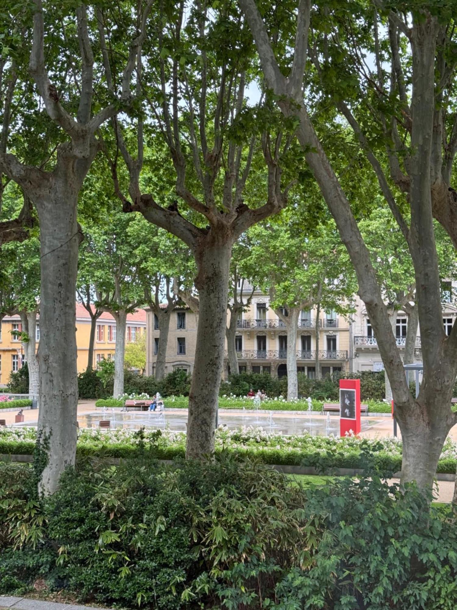 Apartmán Le Carre Gambetta Carcassonne Exteriér fotografie